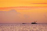 Boats On The Bay_28134